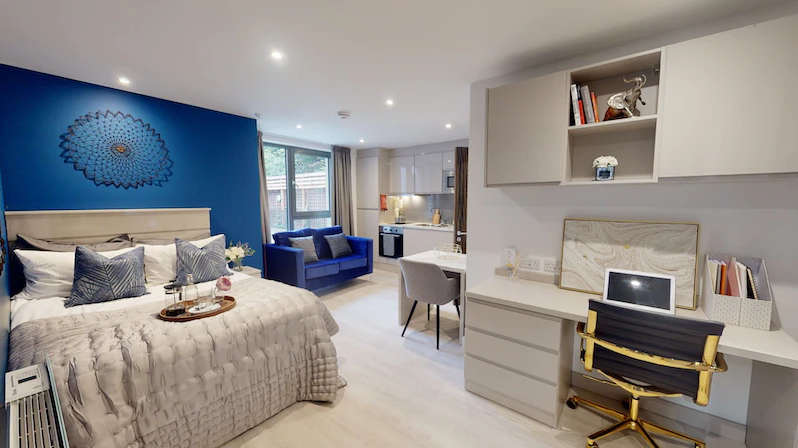 Deluxe Accessible Studio