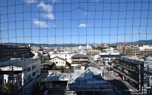 First Court Gosho Muromachi No. 903 3