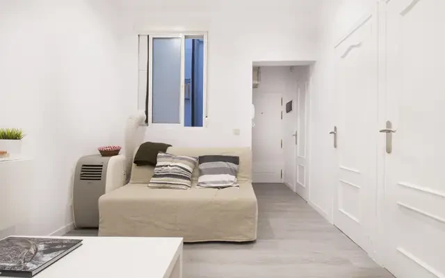 apartment in Lavapiés Embajadores (Centro) 3