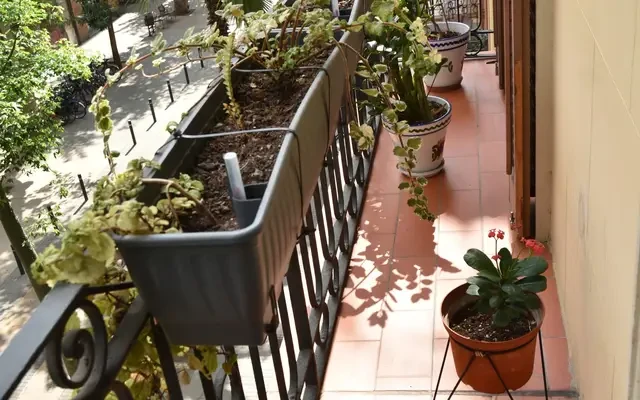 apartment in Sant Antoni (Eixample) 3