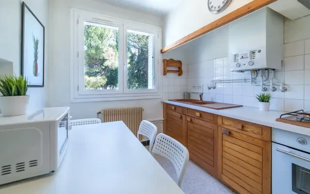 4 Rue du Professeur Louis Thomas, 34090 3
