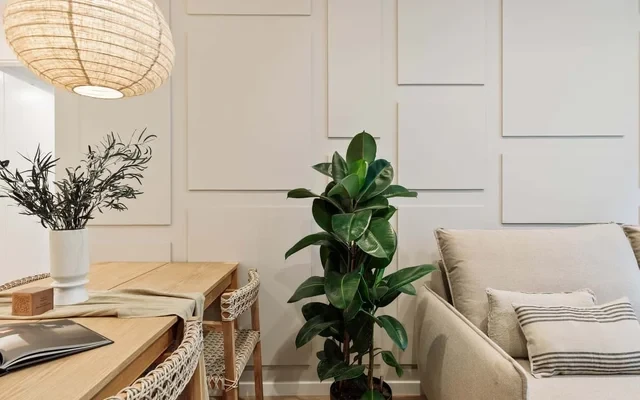 Cava - 2 bedrooms and terrace in Ciutat Vella 1
