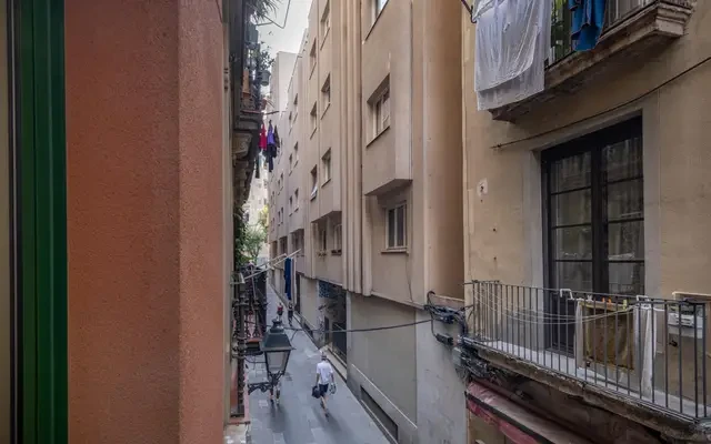 studio in Sant Pere, Santa Caterina and La Ribera (Old Town) 0