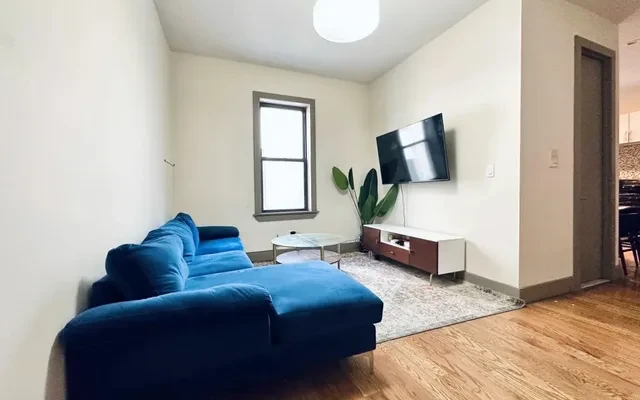 705 Saint Marks Avenue, New York 1