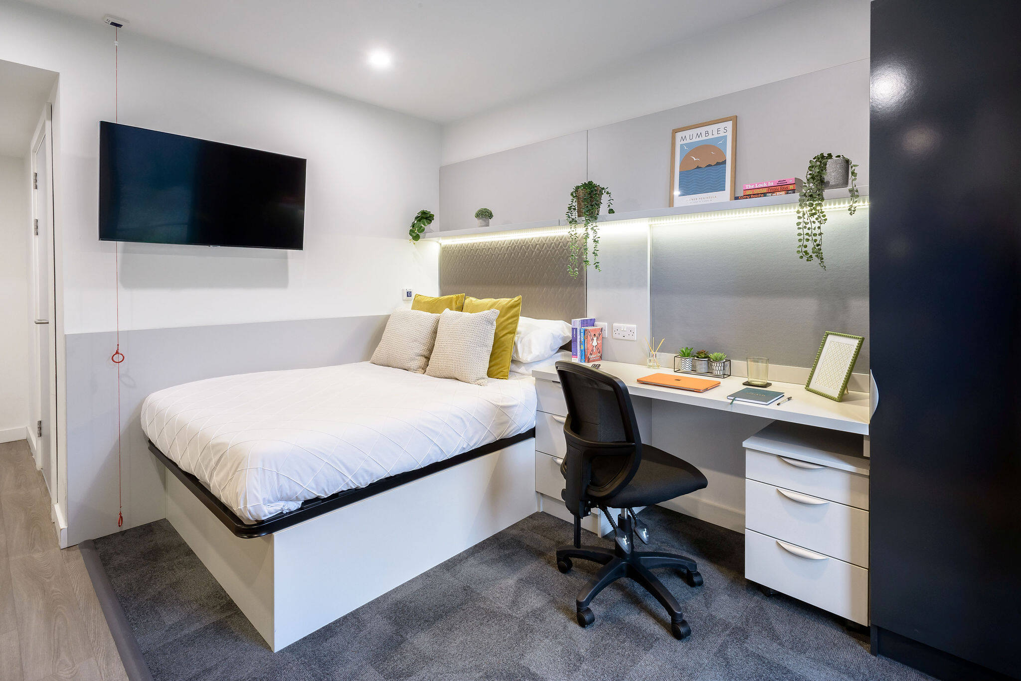 true Accessible Studio