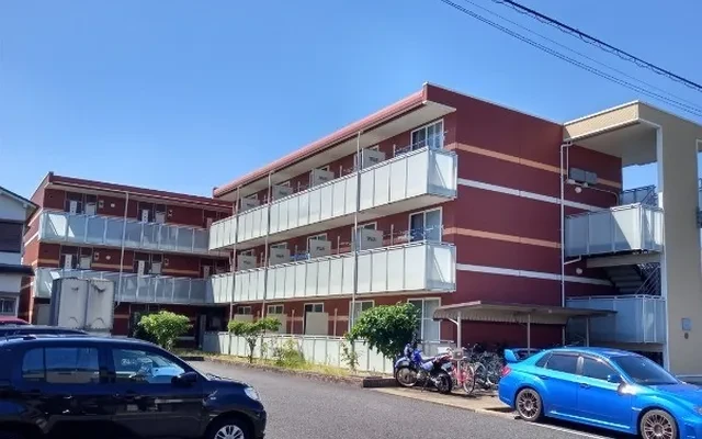レオネクストビタノーバ 0
