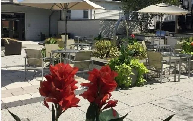 1111 Light Street Apartments 3