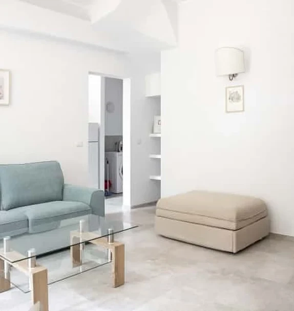 Euphorbia Apartment