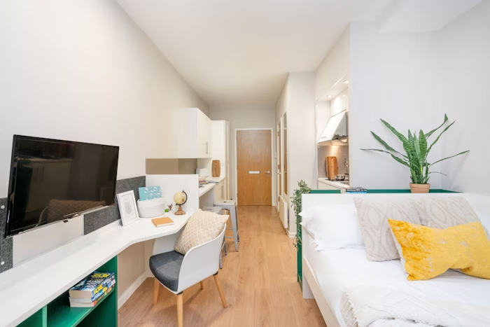 Studio - Bronze Plus