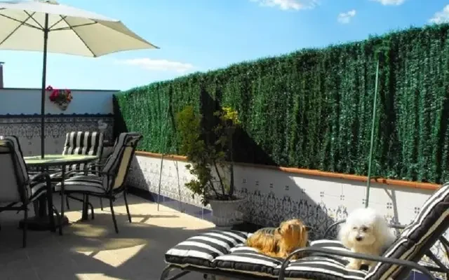 apartment near Ronda de Sant Oleguer 3