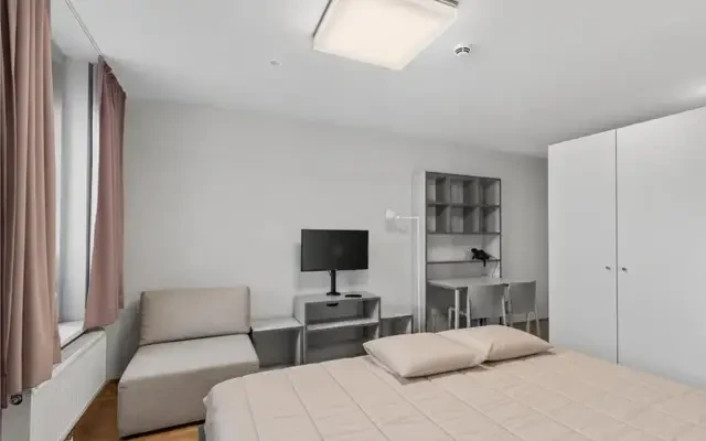 Cozy studio near the Central European University - Vienna student accommodation - Studio