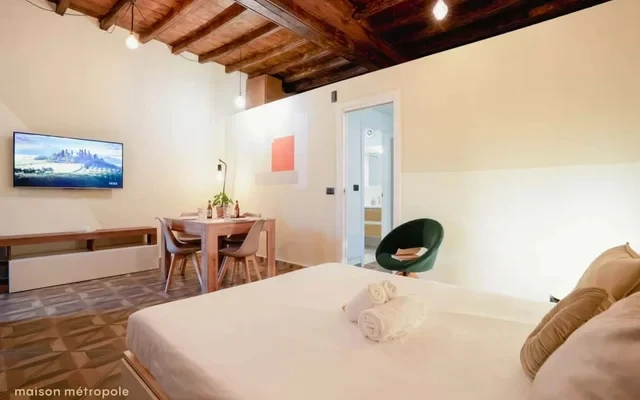 [Torino Centro] Rosine Loft 4