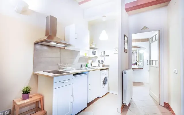studio in Sant Pere, Santa Caterina i la Ribiera (Ciutat Vella) 4
