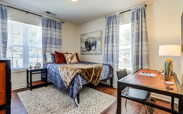 University Village at Clemson 3