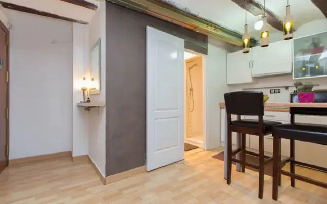 studio in Sant Pere, Santa Caterina i la Ribiera (Ciutat Vella) 0