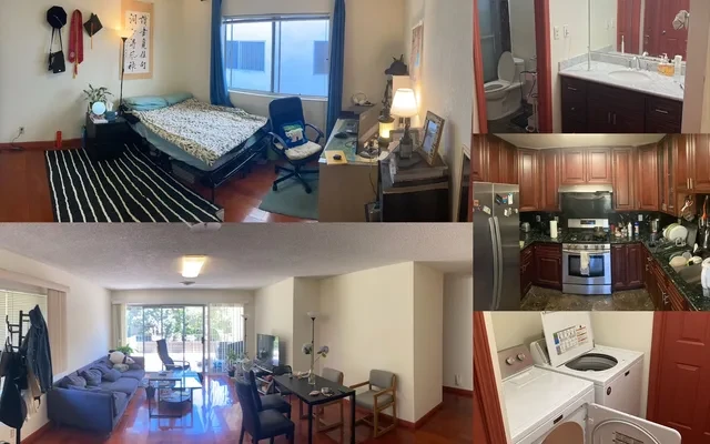 Berkeley / Albany 3B2B 中单间 靠近UC Village 0