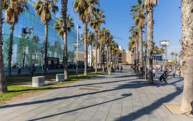 apartment in Barceloneta 0
