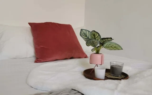 Amplio apartamento en Preciados, Madrid 2
