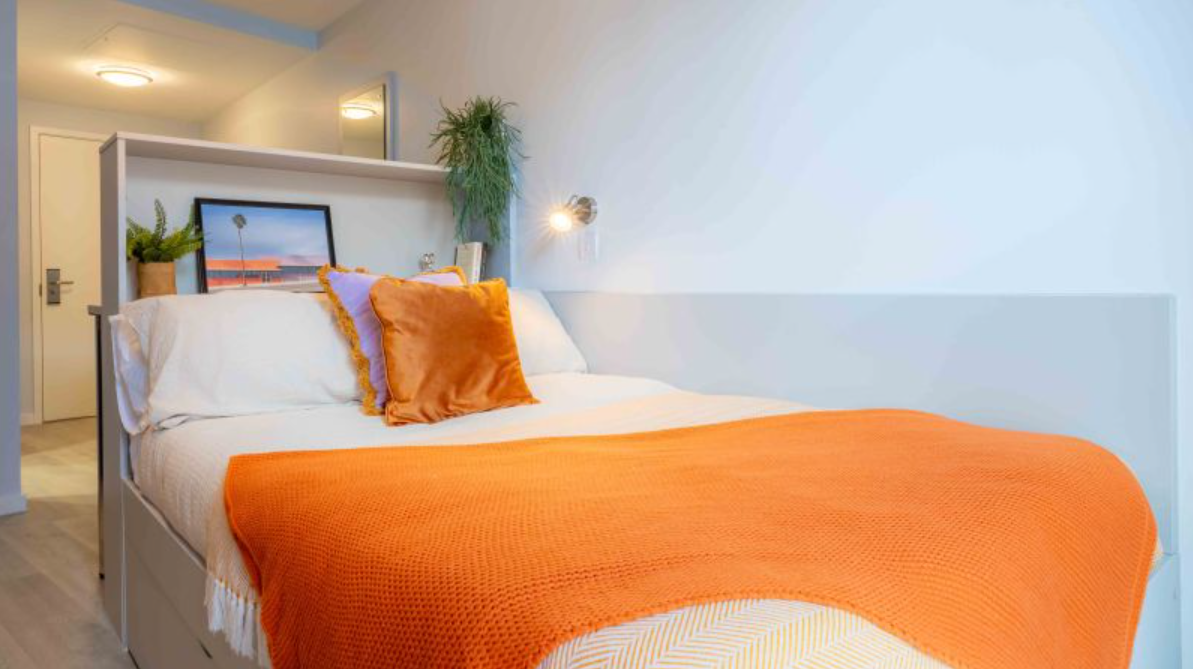 Platinum Studio Plus