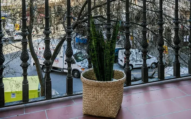 apartment in Sant Antoni (Eixample) 4