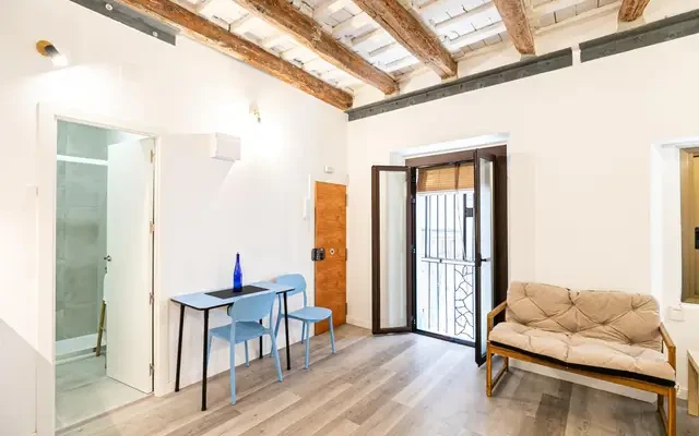 studio in Sant Pere, Santa Caterina and La Ribera (Old Town) 2