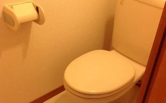 レオパレスピース 3