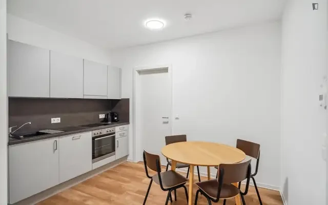 apartment near Waagner-Biro Straße - Graz student accommodation