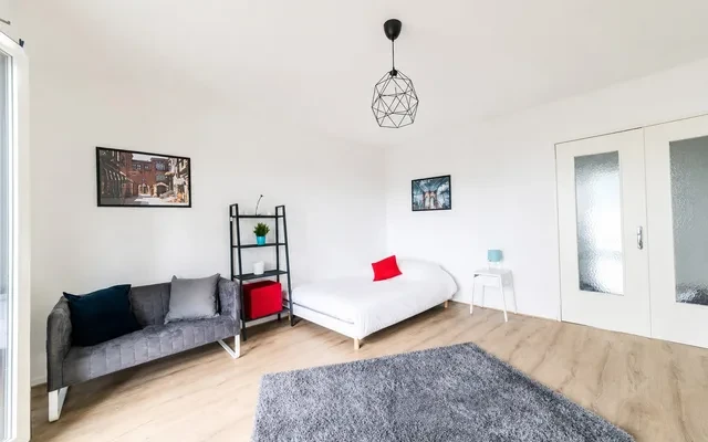 Le Charles - Strasbourg student accommodation - 3BR/1BA -Le Charles