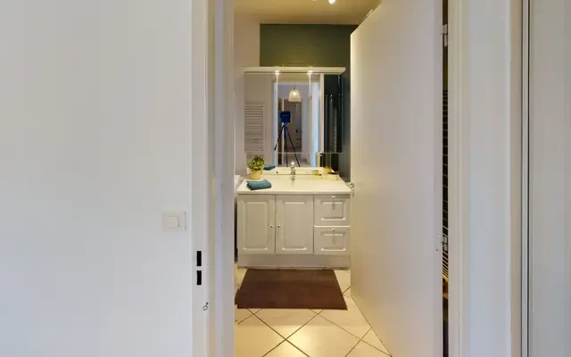 32 Rue Mathieu Varille, 69007 3