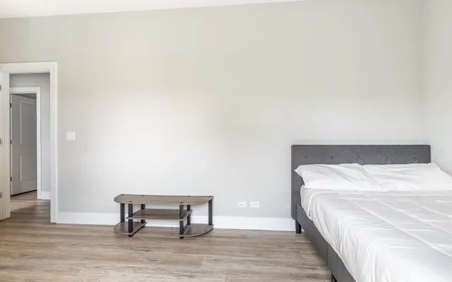 1119 South Loomis Street#1506 1
