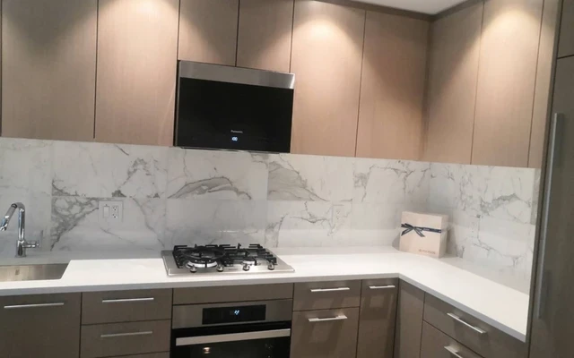 New wesbrook Apartment 1b1b on the UBC campus 1