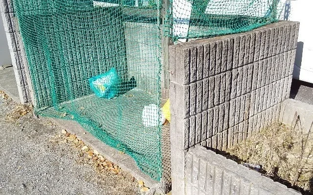 レオパレスサンフラワー 3