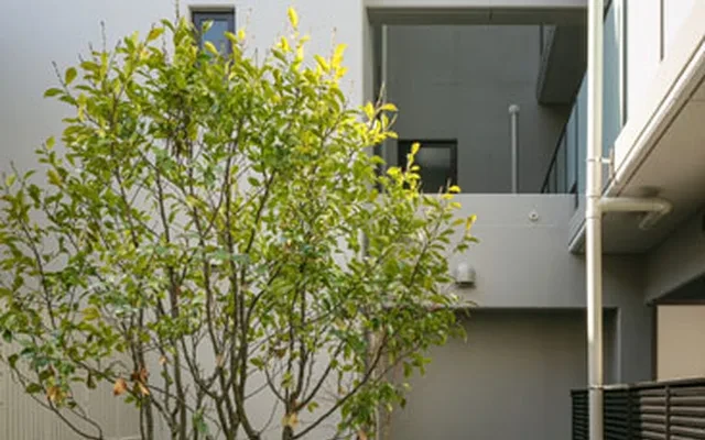 Campus Village Kyoto Ichijoji 4