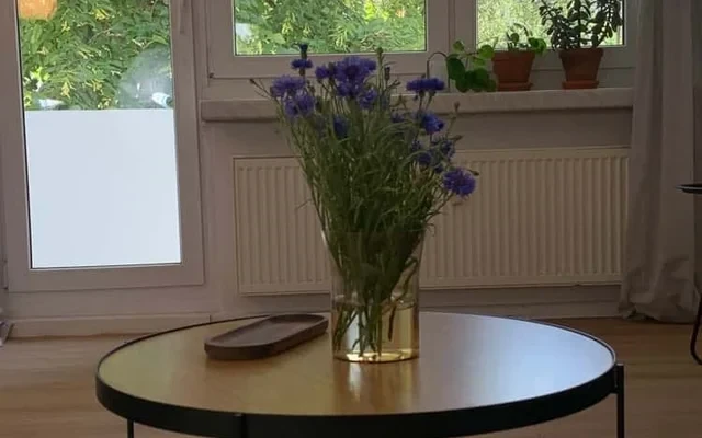 Georg - charmantes 2-Zimmer-Apartment nahe der Spree 3