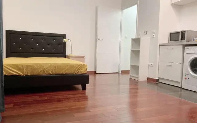 Issy-les-Moulineaux 92e·32m²·F1·Studio·With furniture 2