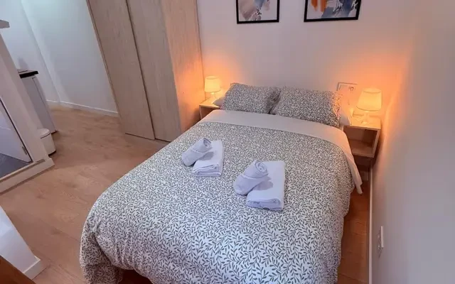 studio in Malasaña and the University area (Central Madrid) 1