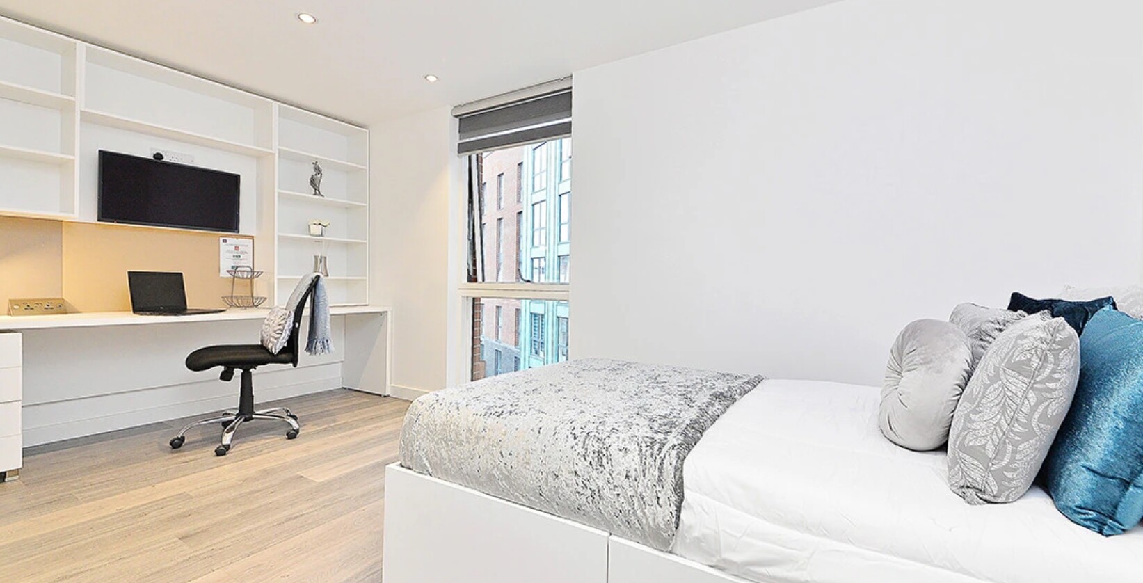 Large Premium Studio