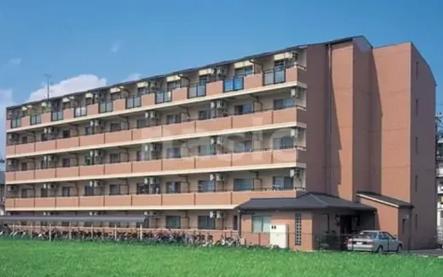 J&K’S　FAVORITE 0