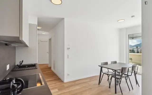apartment near Waagner-Biro Straße - ที่พักนักศึกษาในกราซ