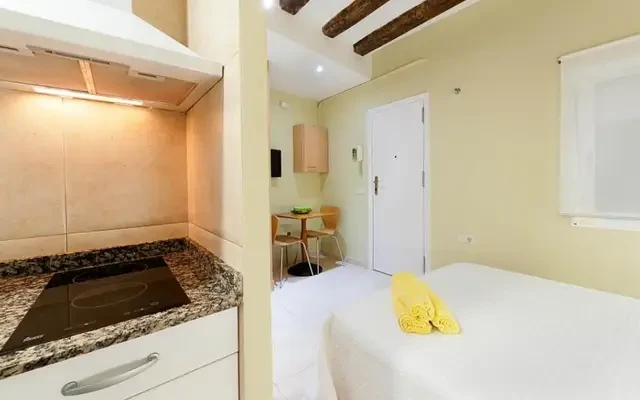 studio in Sant Pere, Santa Caterina i la Ribiera (Ciutat Vella) 4