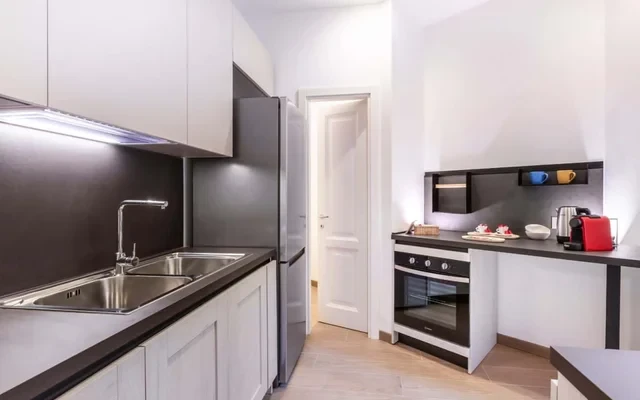 Stylish 1BR flat in the city centre 1