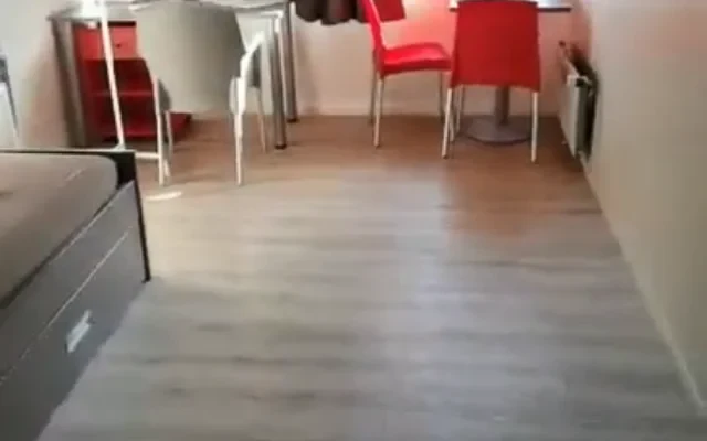 Studea Vivaldi 0
