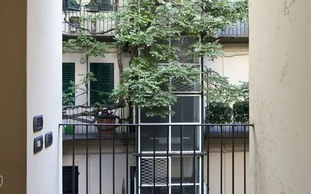 Fiori Chiari 20 1