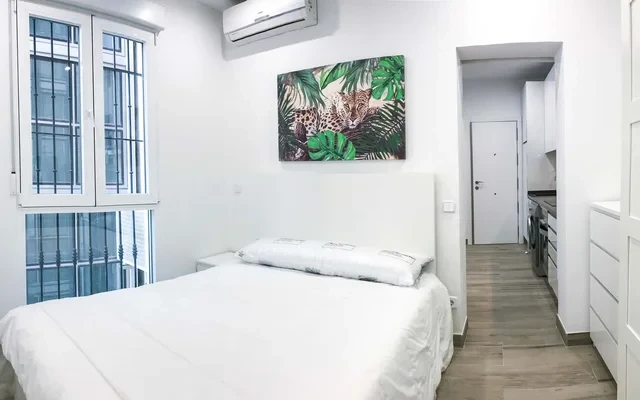Apartment Calle Sagasta 2