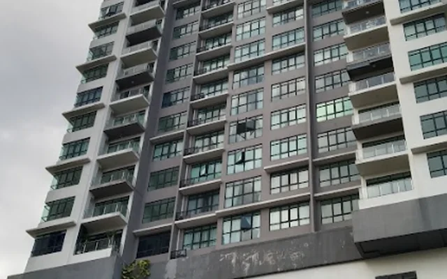 The Conezion, Condominium 2