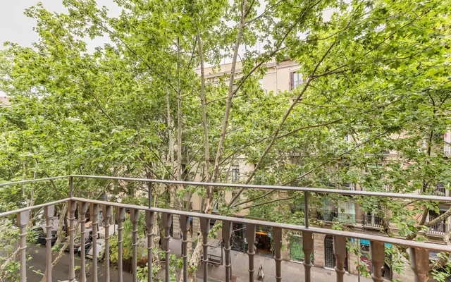 Villarroel 242 2