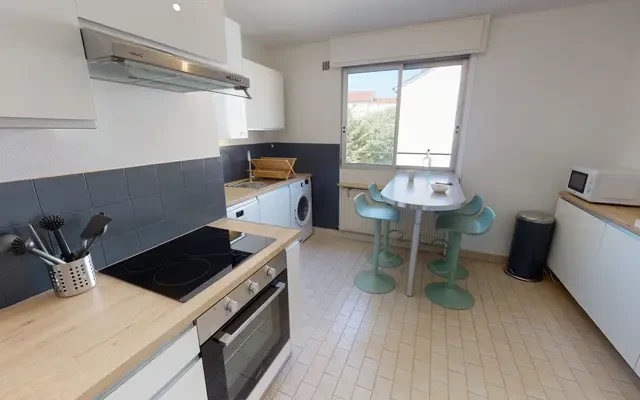 13 Rue Salomon Reinach, 69007 2