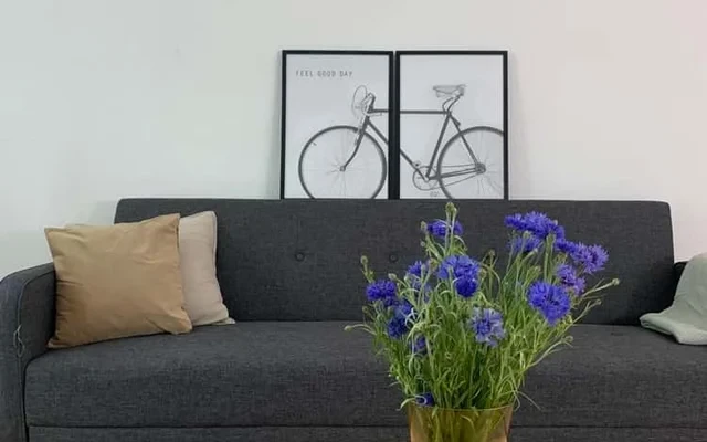 Gerald - tolles 2-Zimmer-Apartment nahe der Spree 4