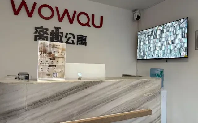 窝趣深圳龙岗南约广场公寓 2