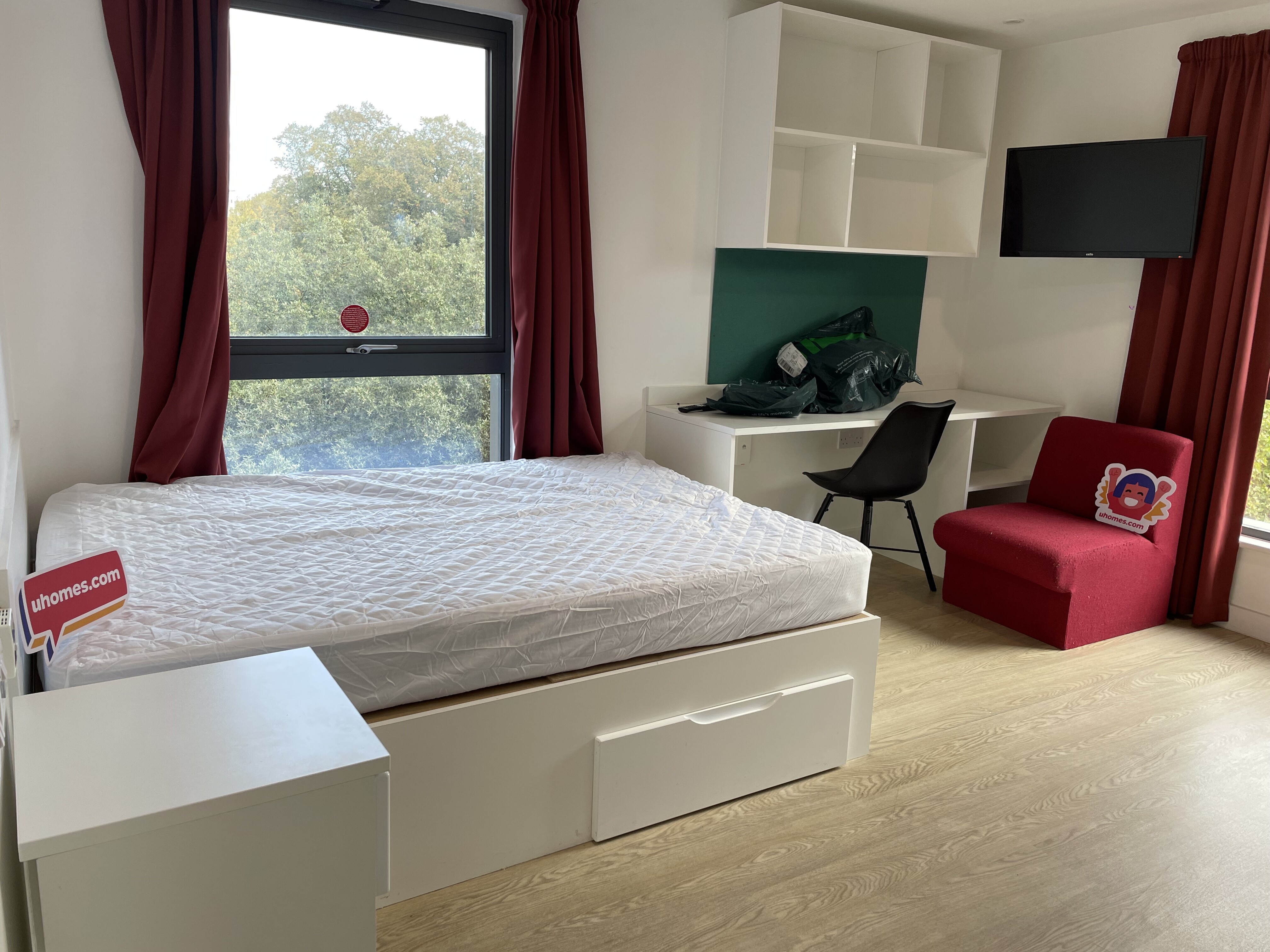 Studio - Silver Plus